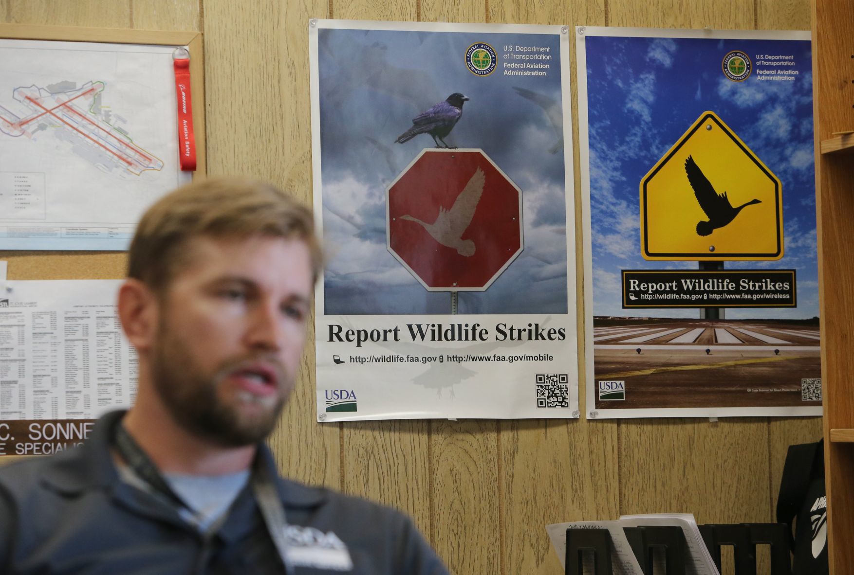 Keeping airplanes safe from birds is a full-time job